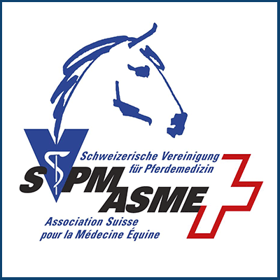 SVPM - ASME