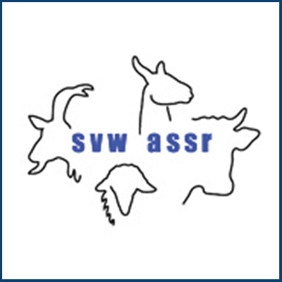 SVW - ASSR